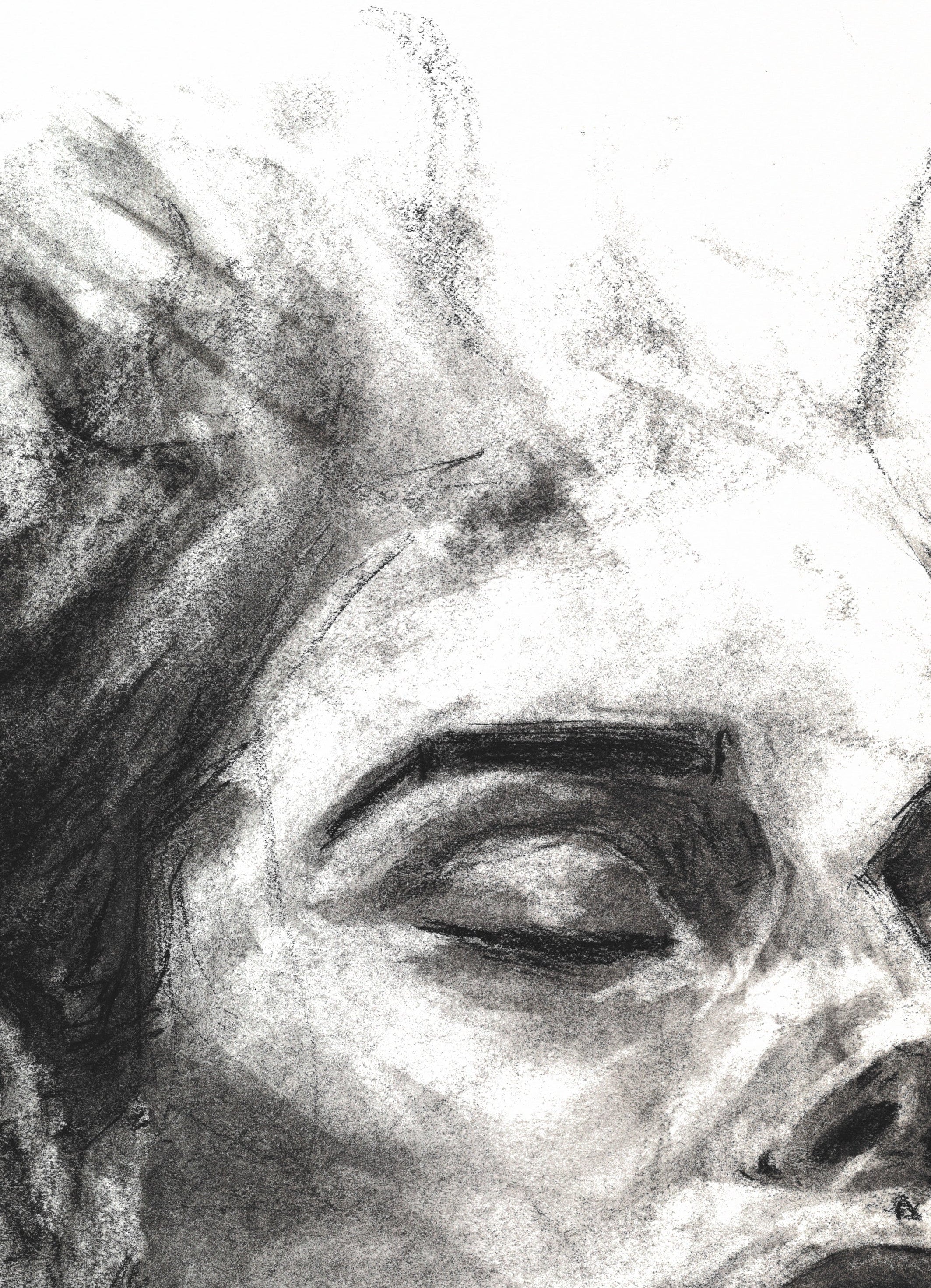 Bliss | Fine Art Print