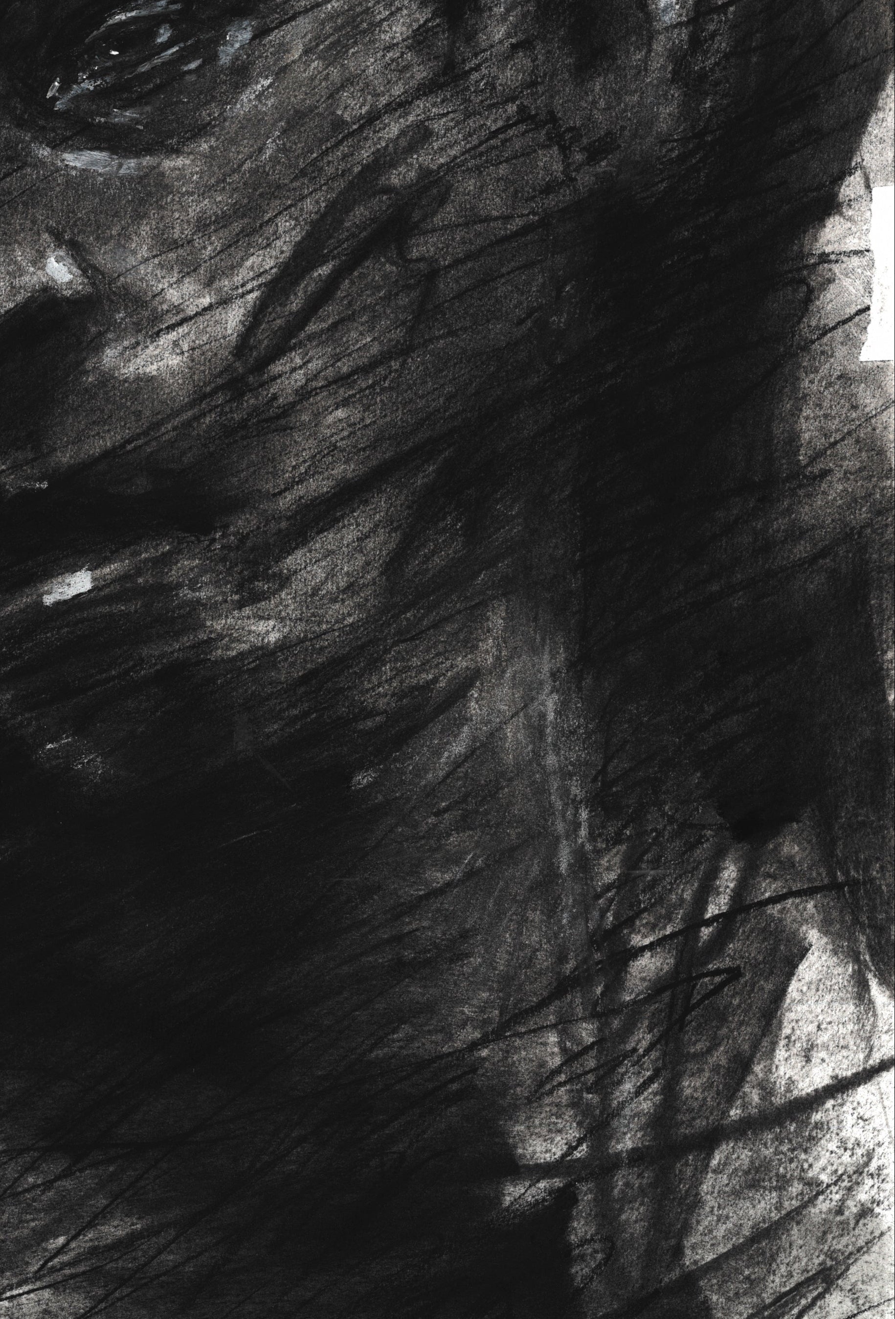 Pulled Apart | Original Charcoal Drawing