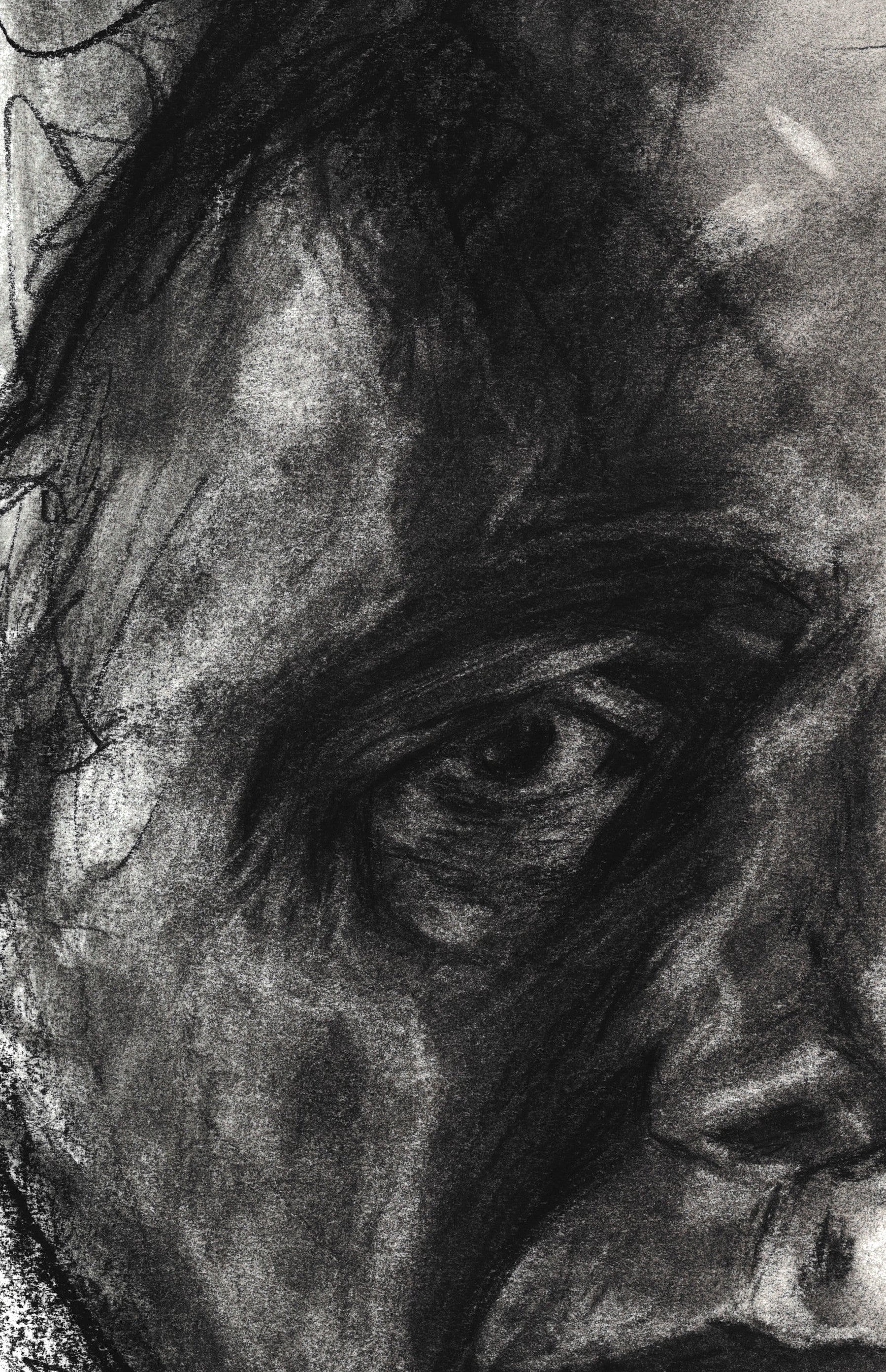 Regression | Fine Art Print